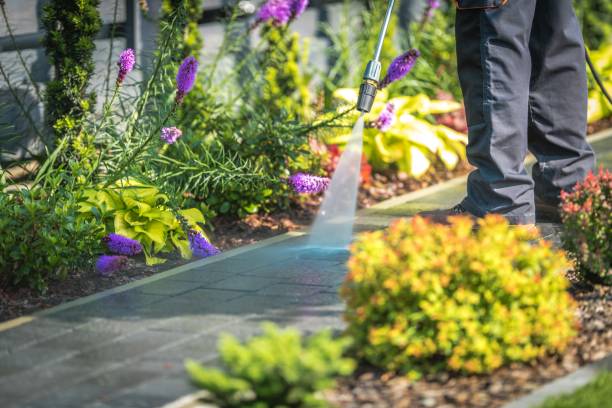 Best Deck and Patio Pressure Washing in Firebaugh, CA